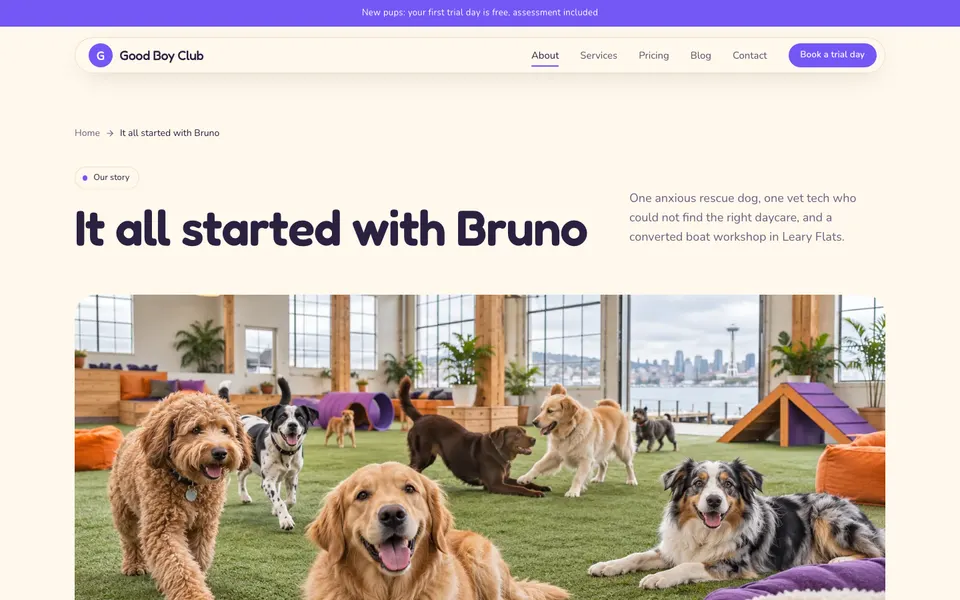 Good Boy Club About page