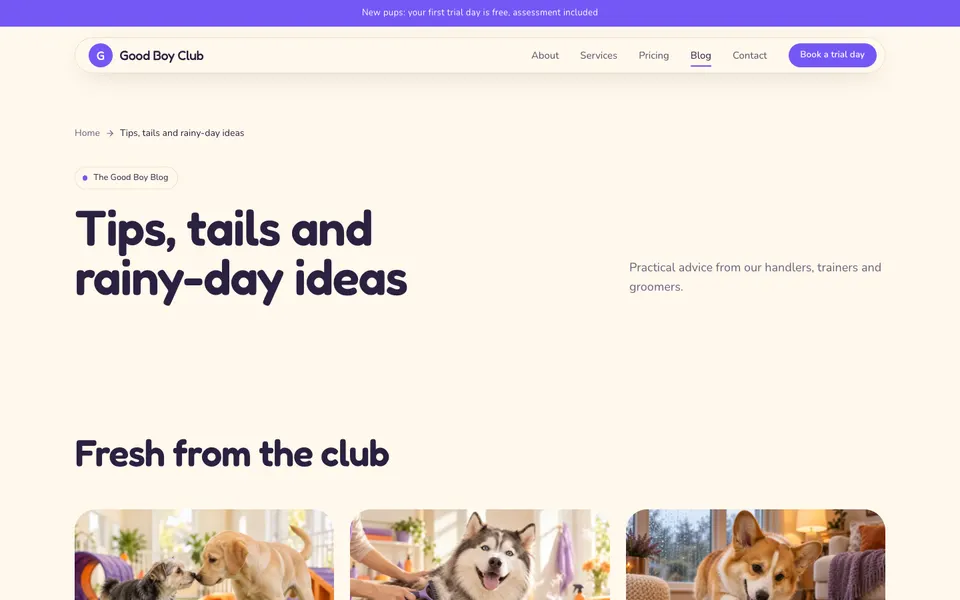 Good Boy Club Blog page