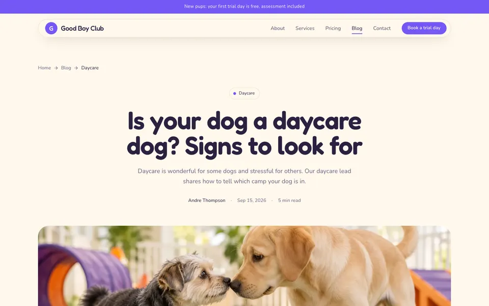 Good Boy Club Blog post page